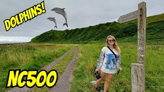 Finding Dolphins along the North Coast 500 [upl. by Gnahc]