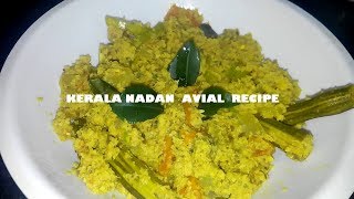 KERALA STYLE EASY AVIAL RECIPE [upl. by Iow893]