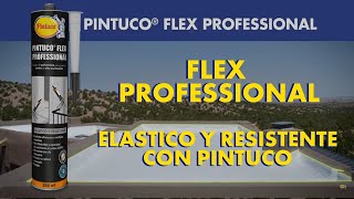 ¿Cómo sellar grietas con Pintuco Flex Professional [upl. by Elhsa65]