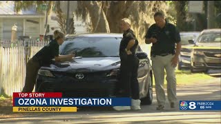 Pinellas County deputies investigate disturbance in Palm Harbor [upl. by Teerprug]