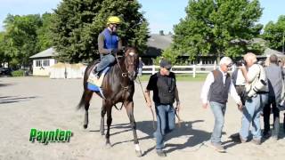 Keeneland September Yearling Sale  Taylor Made [upl. by Dalila]