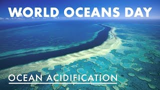 World Oceans Day  Ocean Acidification [upl. by Dlanigger841]