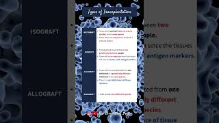 Types of Transplantation Autograft Isograft Allograft amp Xenograft PreU Biology shorts short [upl. by Nylanna]