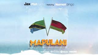 Jax platnumz X Namadingo Mapulani REMIX official Audio [upl. by Camella]