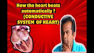 conductive system of heart quotஇதயத்தின் செயலியல் அமைப்புquot SA nodepacemaker physiology [upl. by Grossman686]