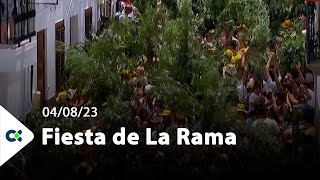 Fiesta de La Rama  Agaete 2023 [upl. by Ylecara]