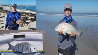 Catching a variety of fish species in Cape town South Africa [upl. by Boak]