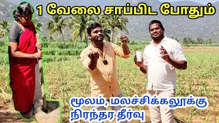 மூலம் வேரோடு சரியாக pails problem solution at home tamil  hemorrhoids symptoms  TAMIL VLOGGER [upl. by Tonl63]