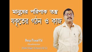 human liver bengaliযকৃত পিত্তরসjakritbile fat digestionclass 9 life science wbbse biology [upl. by Vedi153]