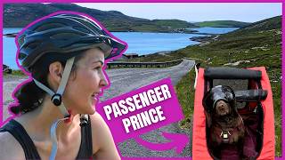 Cycling to 3 ISLAND BEACHES with My Dog in a Bike Trailer  Outer Hebrides Part 8  VLOG 27 [upl. by Aluap]