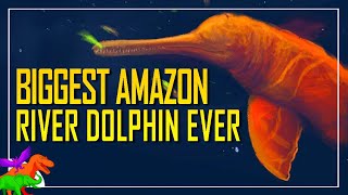 Giant Prehistoric River Dolphin Was Amazon’s Apex Riverine Mammal Predator [upl. by Zaragoza]