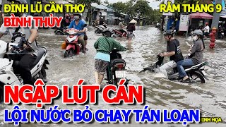 HÃI HÙNG  BỎ CHẠY TÁN LOẠN NƯỚC NGẬP LÊN NHANH QUÁ  TRIỀU CƯỜNG ĐẠT ĐỈNH QUẬN BÌNH THỦY CẦN THƠ [upl. by Dame28]