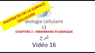 biologie cellulaire s1 vidéo 016  la membrane plasmique شرح [upl. by Oibirot]