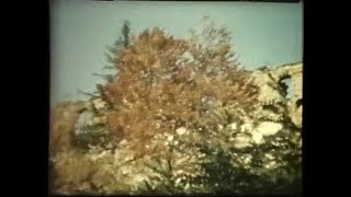 Die steirische Toskana  Ein Film von Curt Faudon aus dem Jahre 1989 [upl. by Bealle856]