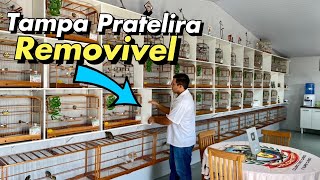 PRATELEIRAS COM DIVISORIAS REMOVÍVEIS PARA AVES [upl. by Nalhsa]