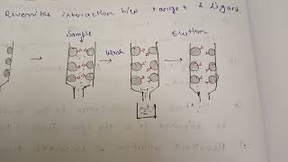 Affinity Chromatography with IMAC [upl. by Kevon851]