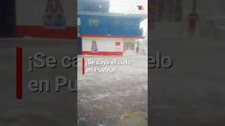 Intensa granizada en Puebla provoca caída de árboles e inundaciones severas [upl. by Trescott113]