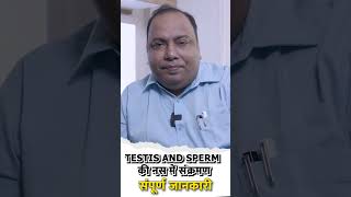 Testicular and Spermatic Cord Infections Explained Symptoms Causes and Treatment doctor [upl. by Tubb]