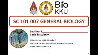 หัวข้อที่ 8 Basic histology ตอนที่ 2 [upl. by Dunlavy234]