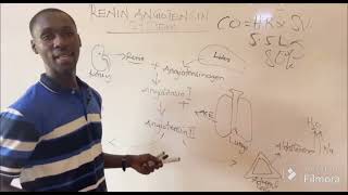 RENIN ANGIOTENSIN SYSTEM Made simple [upl. by Hezekiah]