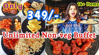 ₹349 Unlimited NonVeg Buffet at Desi Lane Topsia 🤯 Cheapest Rooftop Restaurant in Kolkata 2024 🥰 [upl. by Eixam]