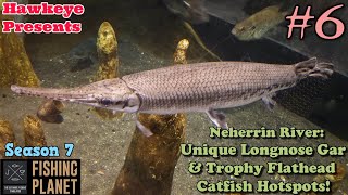 Fishing Planet 6  S7  Neherrin River Unique Longnose Gar amp Trophy Flathead Catfish Hotspots [upl. by Diogenes589]