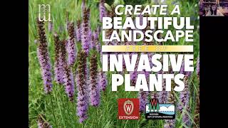 Create a Beautiful Landscape Free of Invasive Plants [upl. by Divd]