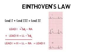 EINTHOVENS LAW [upl. by Lidda]