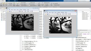 Homomorphic Filter using Matlab [upl. by Amsab829]