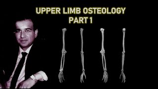 UPPER LIMB OSTEOLOGY 1 [upl. by Ewall951]