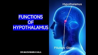 FUNCTIONS OF HYPOTHALAMUS PART  1 [upl. by Ruthy]