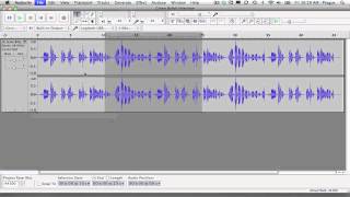 Export Selection Tool in Audacity [upl. by Modern]