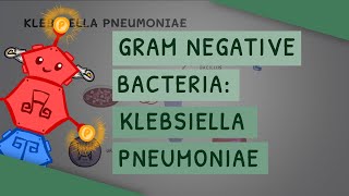 Gram Negative Bacteria Klebsiella pneumoniae [upl. by Nirred]