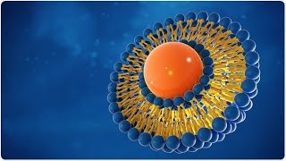 Nano Liposome Tools for Target Drug Delivery [upl. by Illil]