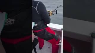 Cape Cod fisherman catches reels in a porbeagle shark on the Magellan [upl. by Ettolrahs]