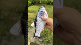 Fish Toy \ New Viral Gadget Smart Appliances Home Invetion Kitchen Utensils [upl. by Potter526]