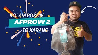 HQC Anglers  Kolam Pokcik Afprow 2 [upl. by Penney]