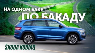 Кодиак нас замучил  реальный пробег на одном баке 887 км  skoda kodiaq [upl. by Josi]