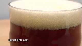 Irish Red Ale Homebrew Recipe Kit [upl. by Weisman579]