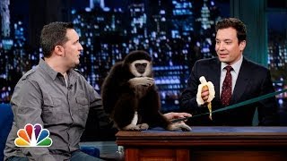 Jeff Musial Otters Gibbon and Water Buffalo Part 1 Late Night with Jimmy Fallon [upl. by Nylecyoj727]