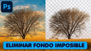 ✅ Cómo Eliminar Fondos Difíciles en Photoshop Tutorial Paso a Paso🖌️ [upl. by Sixela]