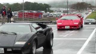 Many Lamborghini Countach V12 sound カウンタック軍団登場 [upl. by Yonatan939]