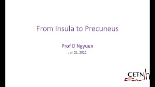 From Insula to Precuneus Prof Dang Ngyuen Montreal [upl. by Ynehpets771]