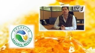 SAGARPA avala la calidad de los productos orgánicos de México [upl. by Sabec659]