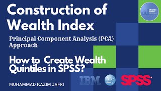 Construction of Wealth Index  Principal Component Analysis PCA [upl. by Sairtemed]