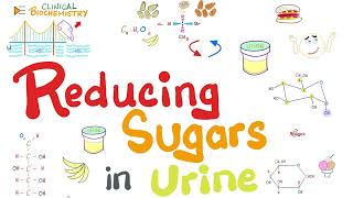 Why is there Sugar in my urine Glucosuria Fructosuria  Reducing Sugars in urine  Biochemistry [upl. by Embry59]