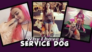 Psychiatric Service Dog  Anxiety amp Panic Attacks [upl. by Cissy526]