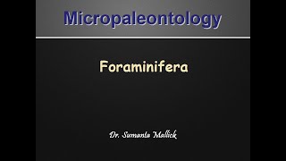 Micropalaeontology  Foraminifera [upl. by Oidale]