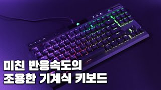 저소음 적축을 사용하고 8000Hz 를 지원하는 커세어의 몰컴 키보드 커세어 K70 TKL CHAMPION 리뷰 [upl. by Muller583]