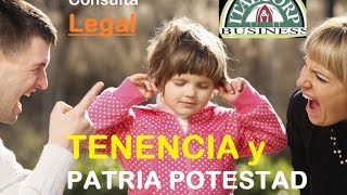 Demanda de Tenencia y Patria Potestad en el Perú Tenencia a favor del Padre Judicial Italcorp [upl. by Dnalyram285]